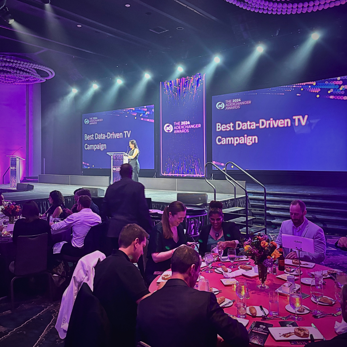 LWD and Endurance Selected as Finalist for Best Data-Driven TV Campaign at 2024 AdExchanger Awards